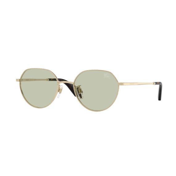 Burberry BE 3173D 1109/2 Güneş Gözlüğü, Resim 6