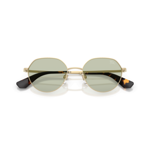 Burberry BE 3173D 1109/2 Güneş Gözlüğü, Resim 5