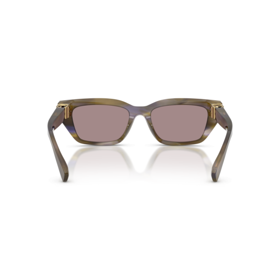 Dolce & Gabbana DG 4532 3447LA Güneş Gözlüğü, Resim 2