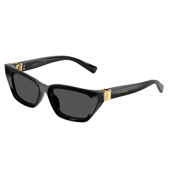 Dolce & Gabbana DG 4532 501/87 Güneş Gözlüğü, Resim 6