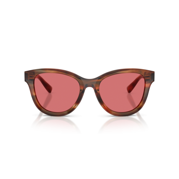 Dolce & Gabbana DG 4533 322175 Güneş Gözlüğü, Resim 4