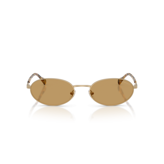 Emporio Armani EA 2175 300273 Güneş Gözlüğü, Resim 3