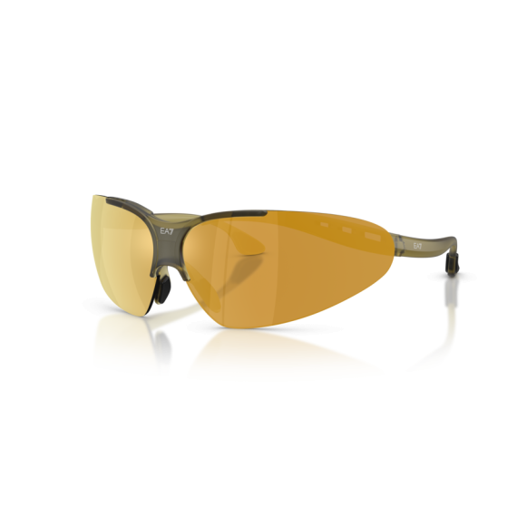 Emporio Armani Q7 4007 63577P Güneş Gözlüğü