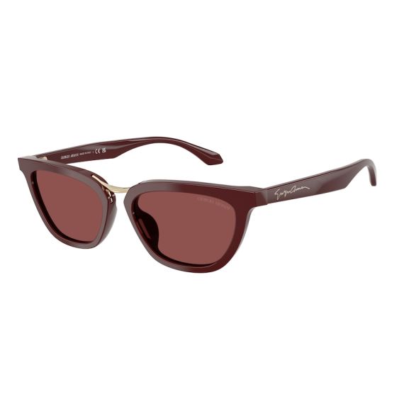 Giorgio Armani AR 8253U 639775 Güneş Gözlüğü, Resim 6