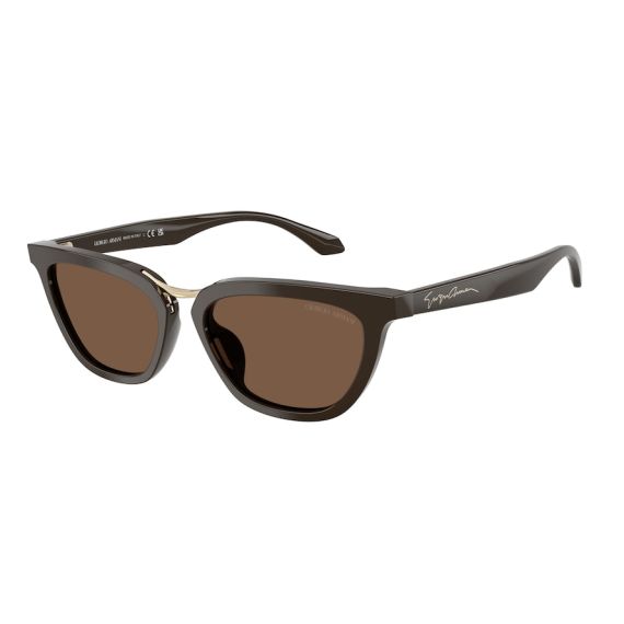 Giorgio Armani AR 8253U 639873 Güneş Gözlüğü, Resim 6