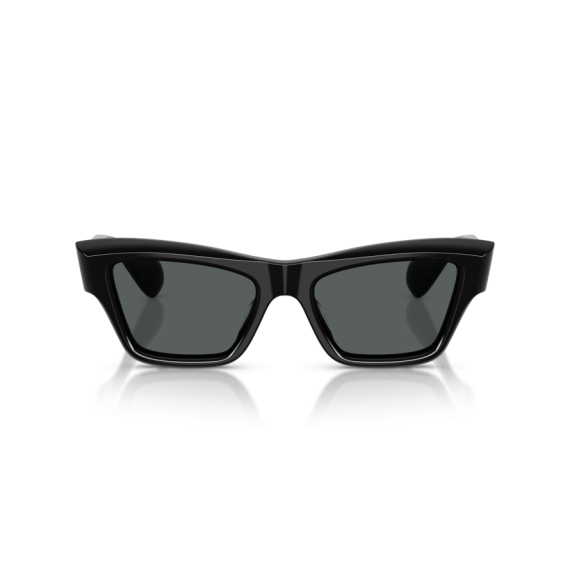 Oliver Peoples OV 5611SU 1731P2 Güneş Gözlüğü, Resim 5