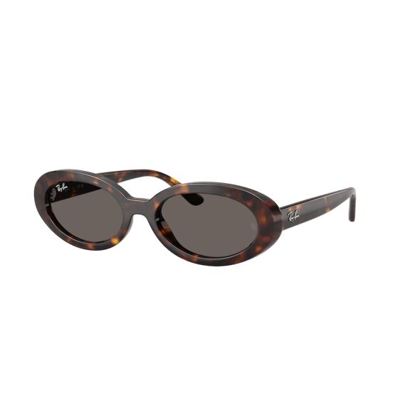Ray-Ban RB 2223 902/B1 Güneş Gözlüğü, Resim 7