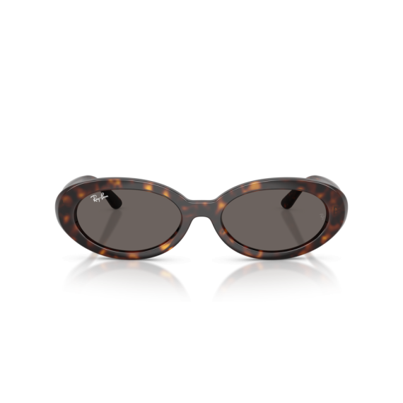 Ray-Ban RB 2223 902/B1 Güneş Gözlüğü, Resim 5