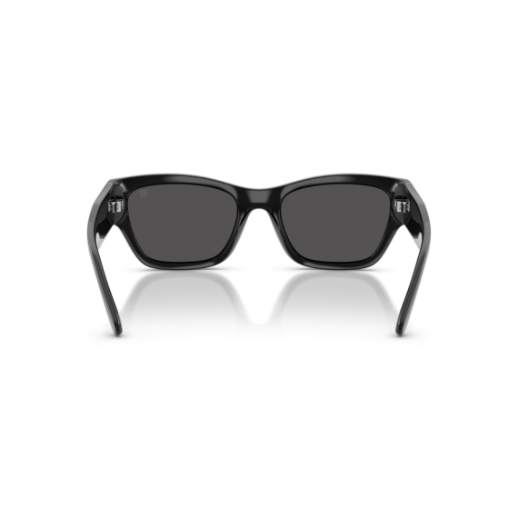 Ralph Lauren RL 8240U 500187 Güneş Gözlüğü, Resim 3