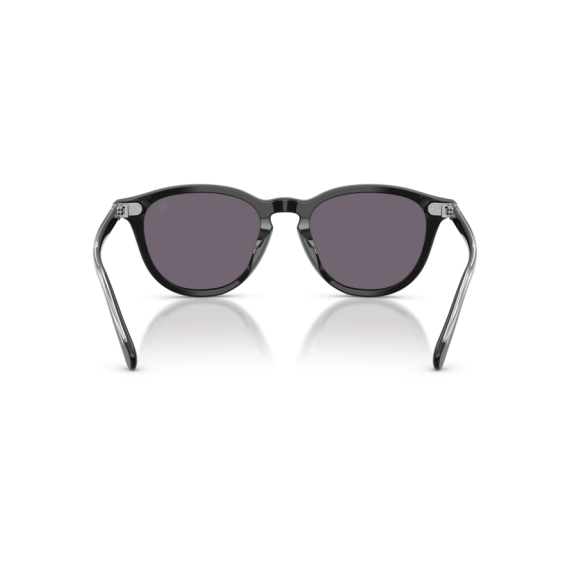 Ralph Lauren RL 8241U 50011A Güneş Gözlüğü, Resim 3