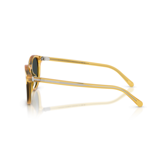 Ralph Lauren RL 8241U 50053R Güneş Gözlüğü, Resim 2