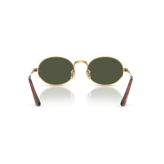 Ray-Ban RB 3931 001/31 Güneş Gözlüğü, Resim 3