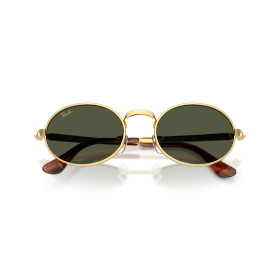 Ray-Ban RB 3931 001/31 Güneş Gözlüğü, Resim 6