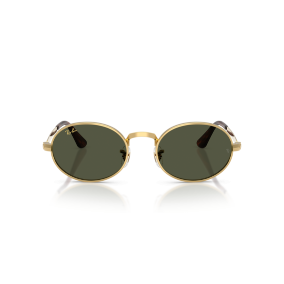 Ray-Ban RB 3931 001/31 Güneş Gözlüğü, Resim 5