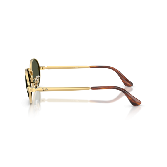 Ray-Ban RB 3931 001/31 Güneş Gözlüğü, Resim 2