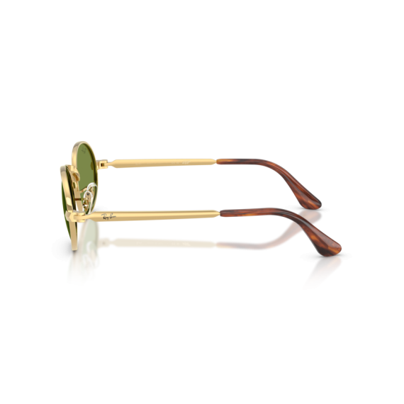 Ray-Ban RB 3931 001/4E Güneş Gözlüğü, Resim 2