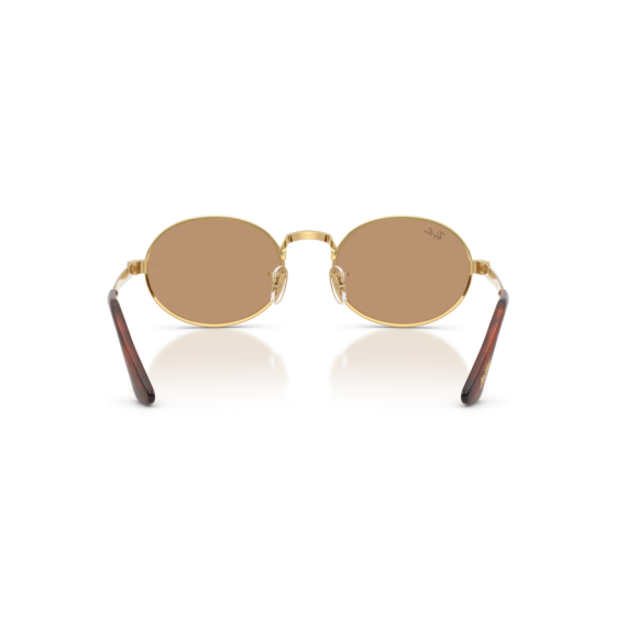 Ray-Ban RB 3931 001/53 Güneş Gözlüğü, Resim 3