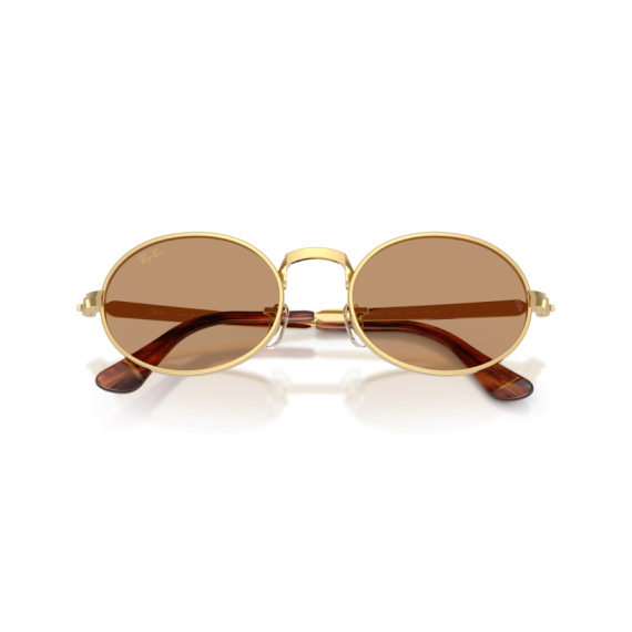 Ray-Ban RB 3931 001/53 Güneş Gözlüğü, Resim 6