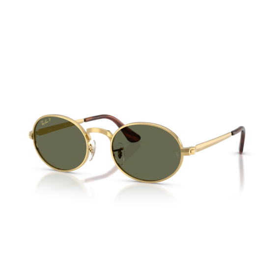 Ray-Ban RB 3931 001/58 Güneş Gözlüğü