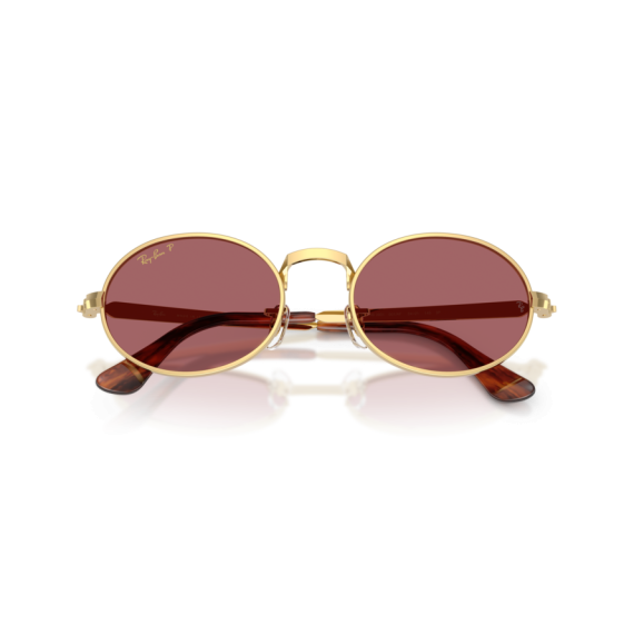 Ray-Ban RB 3931 001/AF Güneş Gözlüğü, Resim 6