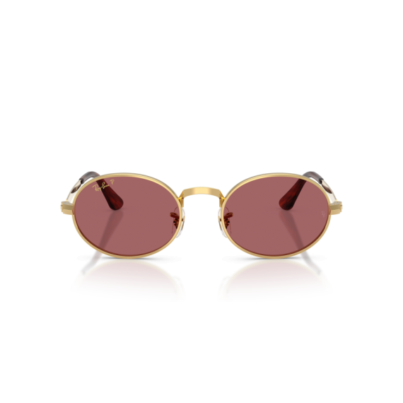 Ray-Ban RB 3931 001/AF Güneş Gözlüğü, Resim 5