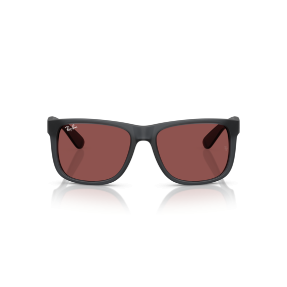Ray-Ban RB 4165 687375 Güneş Gözlüğü, Cinsiyet: Erkek, Ekartman: 55, Resim 5
