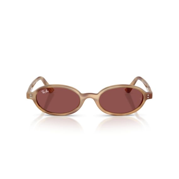 Ray-Ban RB 4472 685675 Güneş Gözlüğü, Cinsiyet: Unisex, Ekartman: 48, Resim 5