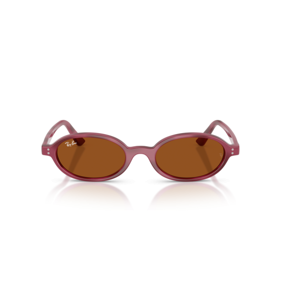 Ray-Ban RB 4472 685773 Güneş Gözlüğü, Cinsiyet: Unisex, Ekartman: 48, Resim 5