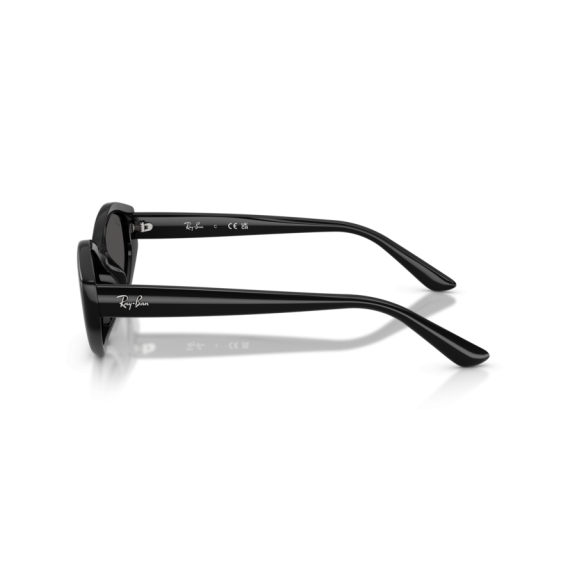 Ray-Ban RB 4473D 667787 Güneş Gözlüğü, Resim 2