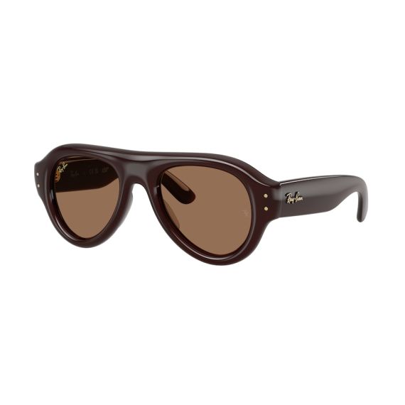 Ray-Ban RB 4925 689673 Güneş Gözlüğü, Cinsiyet: Unisex, Ekartman: 50, Resim 6