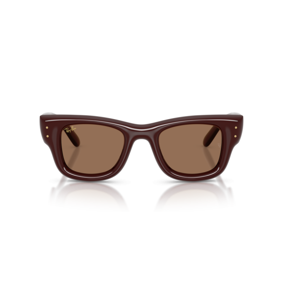 Ray-Ban RB 4940 687773 Güneş Gözlüğü, Cinsiyet: Unisex, Ekartman: 47, Resim 5
