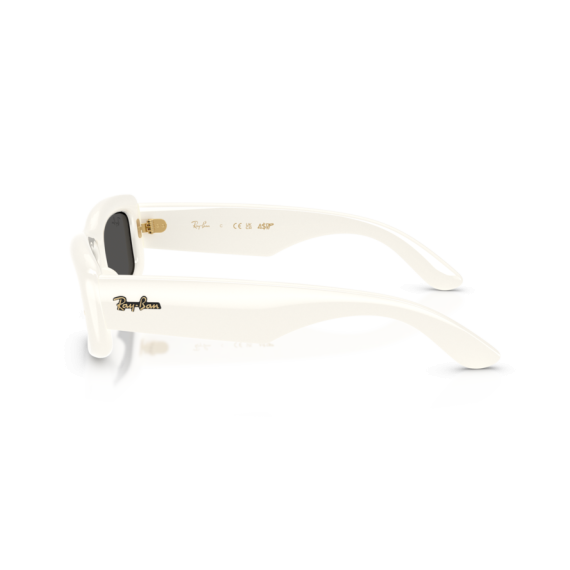 Ray-Ban RB 4944 687487 Güneş Gözlüğü, Resim 2
