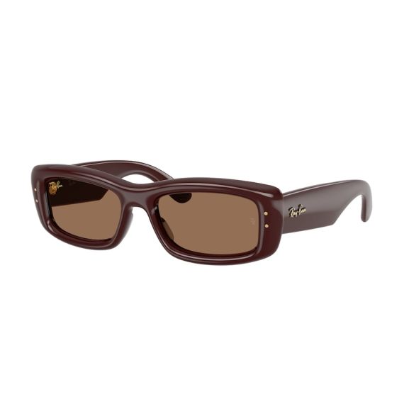 Ray-Ban RB 4944 687773 Güneş Gözlüğü, Resim 7