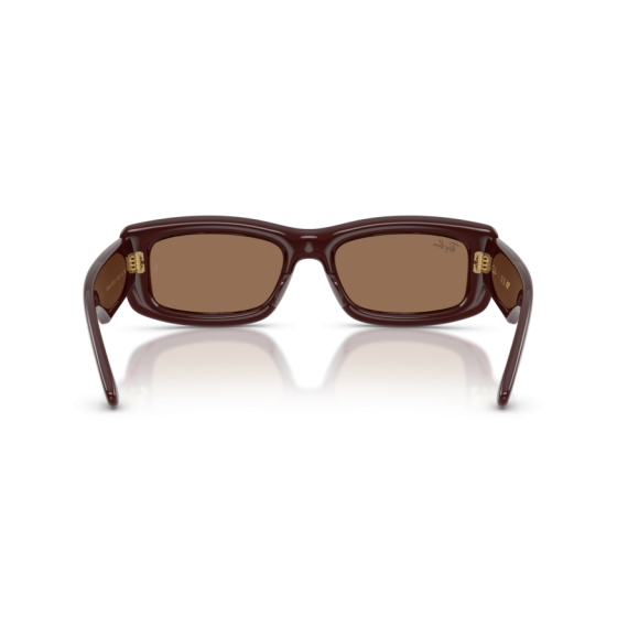 Ray-Ban RB 4944 687773 Güneş Gözlüğü, Resim 3