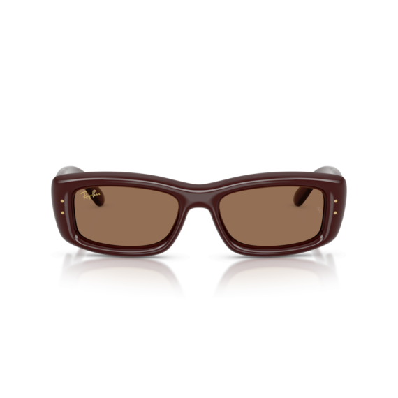 Ray-Ban RB 4944 687773 Güneş Gözlüğü, Resim 5