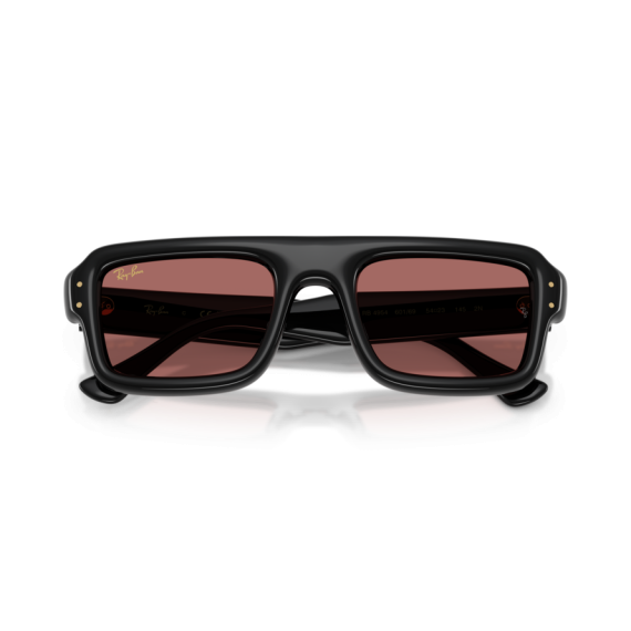 Ray-Ban RB 4954 601/69 Güneş Gözlüğü, Cinsiyet: Unisex, Ekartman: 52, Resim 6