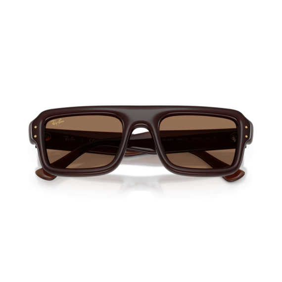 Ray-Ban RB 4954 689673 Güneş Gözlüğü, Cinsiyet: Unisex, Ekartman: 52, Resim 6