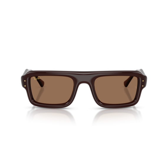 Ray-Ban RB 4954 689673 Güneş Gözlüğü, Cinsiyet: Unisex, Ekartman: 54, Resim 5