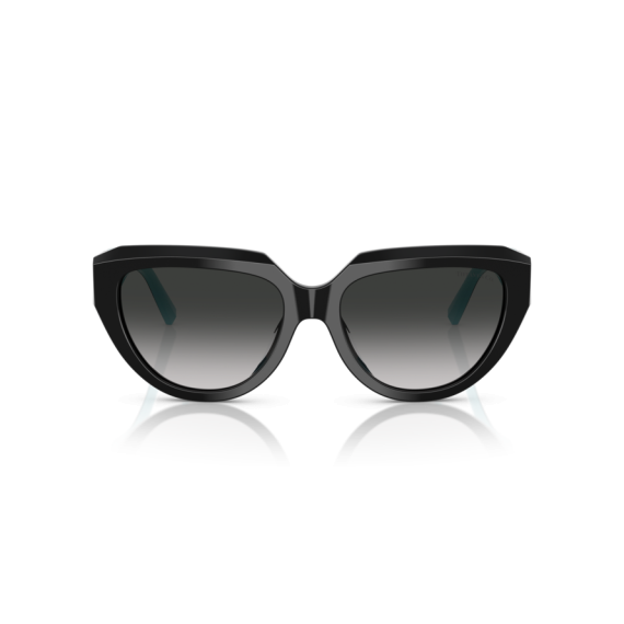 Tiffany TF 4238U 84653C Güneş Gözlüğü, Resim 4