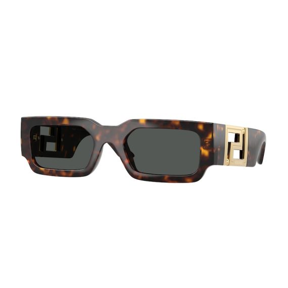 Versace VE 4506U 108/87 Güneş Gözlüğü, Resim 6