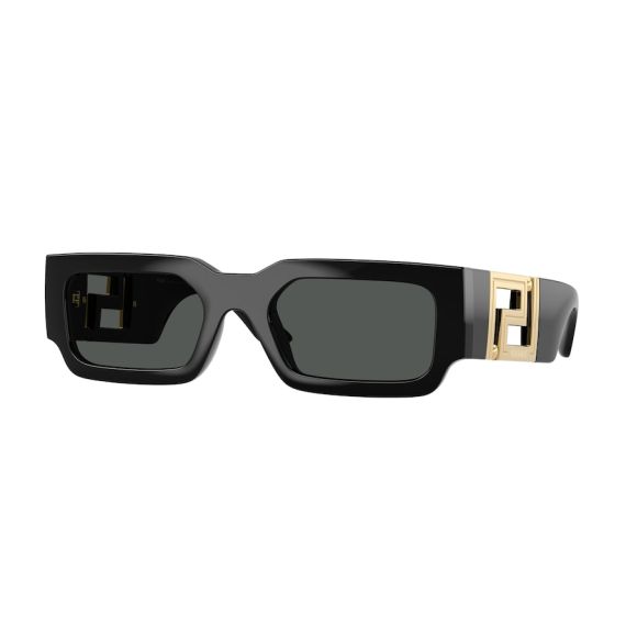 Versace VE 4506U GB1/87 Güneş Gözlüğü, Resim 6