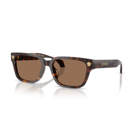 Versace VE 4513D 108/73 Güneş Gözlüğü