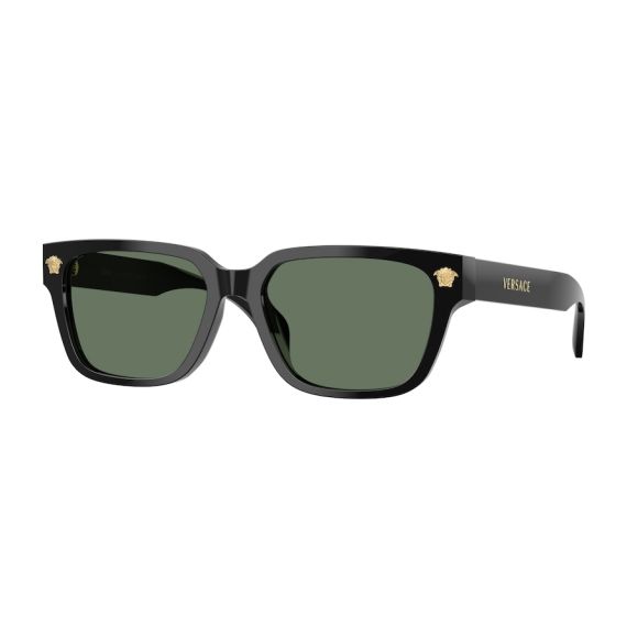 Versace VE 4513D GB1/82 Güneş Gözlüğü, Resim 6