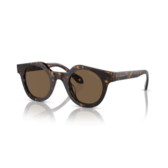 Giorgio Armani AR 8191U 587973 Güneş Gözlüğü