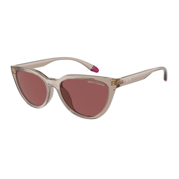 Armani Exchange AX 4130SU 824069 Güneş Gözlüğü