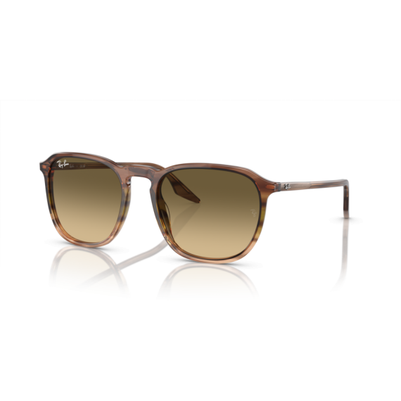 Ray-Ban RB 2203 13920A Güneş Gözlüğü, Cinsiyet: Unisex, Ekartman: 55