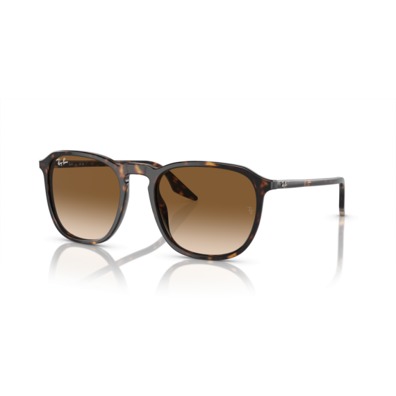 Ray-Ban RB 2203 902/51 Güneş Gözlüğü, Cinsiyet: Unisex, Ekartman: 55