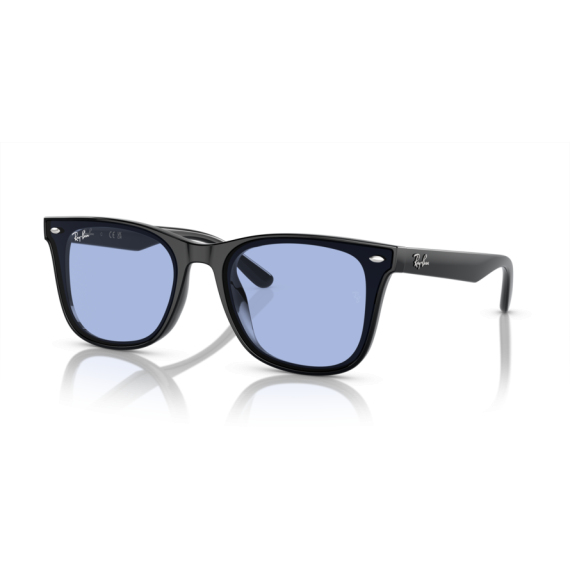 Ray-Ban RB 4420 601/80 Güneş Gözlüğü