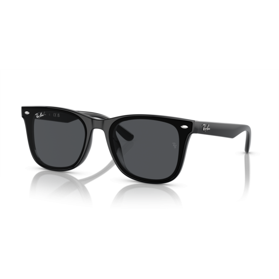 Ray-Ban RB 4420 601/87 Güneş Gözlüğü