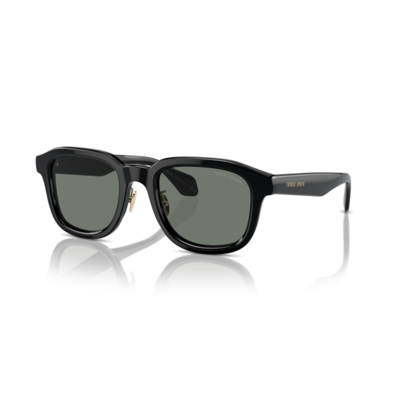 Giorgio Armani AR 8206 6060/1 Güneş Gözlüğü